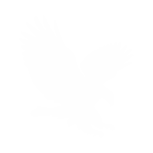 Eagle Metals Logo